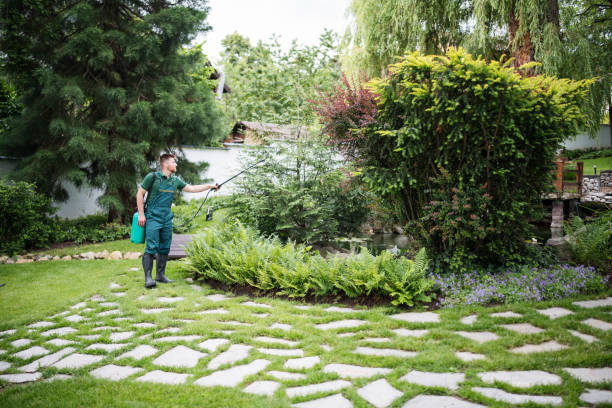 Best Bed Bug Extermination  in Maplewood, WA